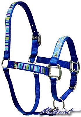 BlueStripe