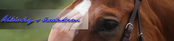 once_upon_a_moment_by_equus_ph
