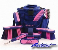 raspberrybentleyset