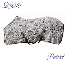 DS016