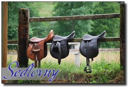 Sedlovny